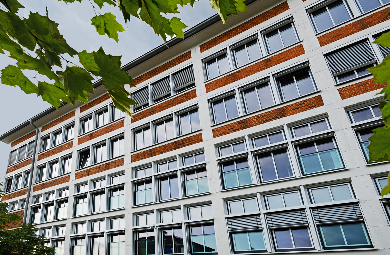 Fassade mit Fenstern an einem Geschäftsgebäude